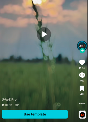 trending capcut template